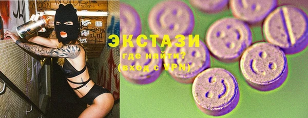 индика Новозыбков